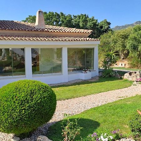 Bed and Breakfast Casa La Chintina Sant'Antonio di Gallura Esterno foto