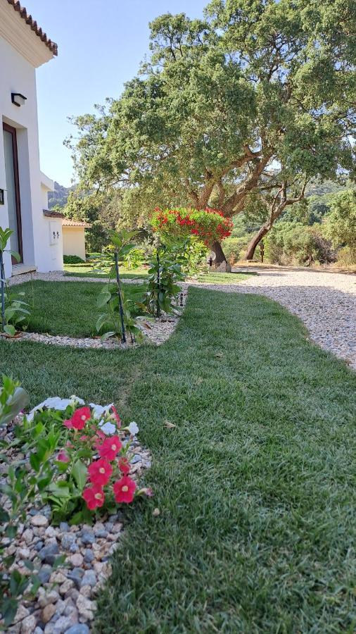 Bed and Breakfast Casa La Chintina Sant'Antonio di Gallura Esterno foto