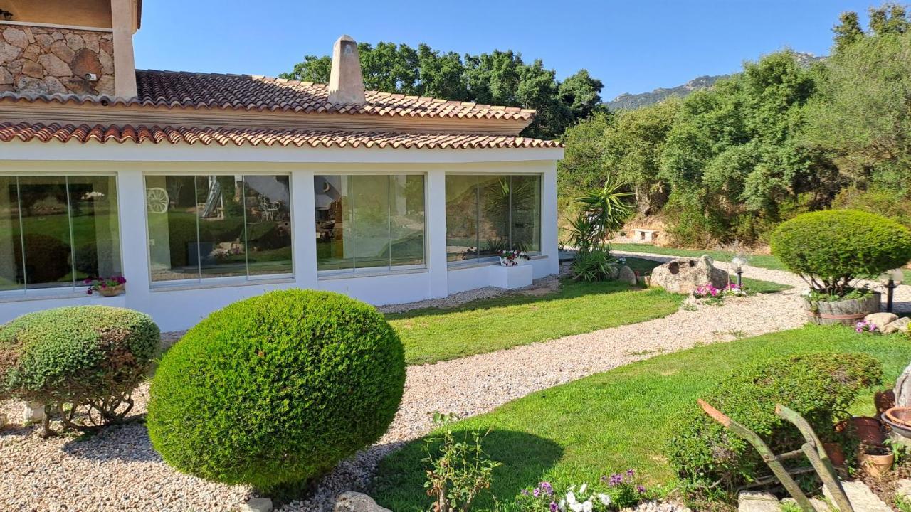 Bed and Breakfast Casa La Chintina Sant'Antonio di Gallura Esterno foto
